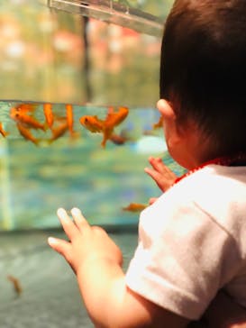 すみだ水族館に投稿された画像（2020/7/26）