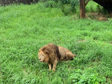 九十九島動植物園森きららに投稿された画像（2020/7/26）