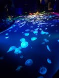 すみだ水族館に投稿された画像（2020/7/26）