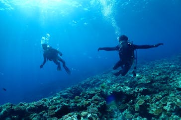 マリンズプロ宮古に投稿された画像（2020/7/26）