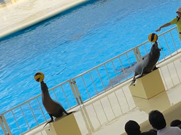 マリンワールド海の中道に投稿された画像（2020/7/26）