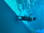 仙台うみの杜水族館に投稿された画像（2020/7/26）