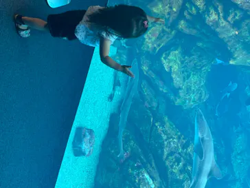 仙台うみの杜水族館に投稿された画像（2020/7/26）