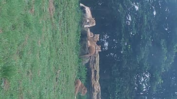 東北サファリパークに投稿された画像（2020/7/26）