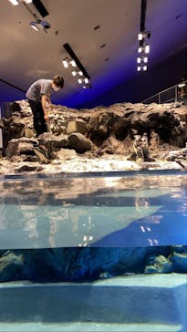 すみだ水族館に投稿された画像（2020/7/26）