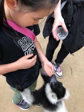 東北サファリパークに投稿された画像（2020/7/26）