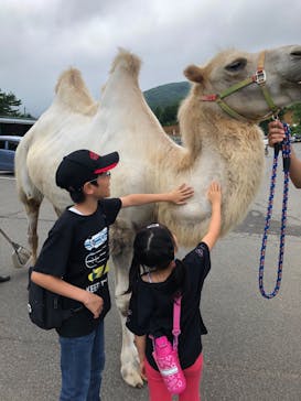 東北サファリパークに投稿された画像（2020/7/26）