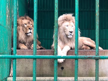 東北サファリパークに投稿された画像（2020/7/26）