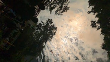 としまえんに投稿された画像（2020/7/26）