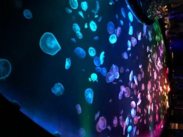 すみだ水族館に投稿された画像（2020/7/26）