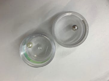 三重県真珠に投稿された画像（2020/7/26）