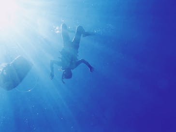 Sea World（シーワールド）に投稿された画像（2020/7/26）