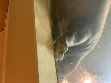 旭川市旭山動物園に投稿された画像（2020/7/26）