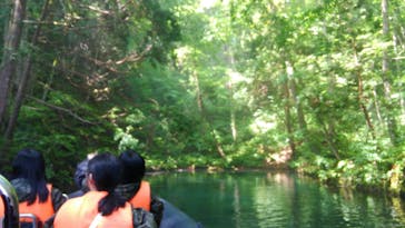 グリランド株式会社に投稿された画像（2020/7/26）