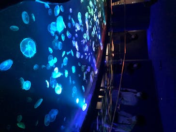 すみだ水族館に投稿された画像（2020/7/26）