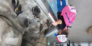 仙台うみの杜水族館に投稿された画像（2020/7/26）