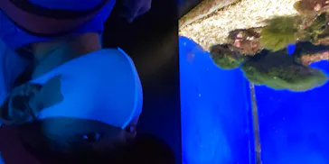 仙台うみの杜水族館に投稿された画像（2020/7/26）