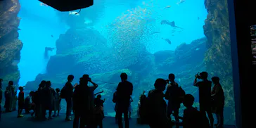 仙台うみの杜水族館に投稿された画像（2020/7/26）