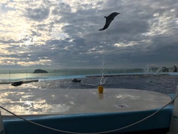 四国水族館に投稿された画像（2020/7/27）