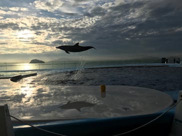 四国水族館に投稿された画像（2020/7/27）