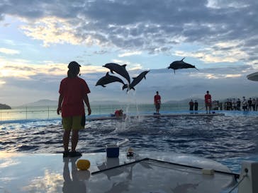 四国水族館に投稿された画像（2020/7/27）