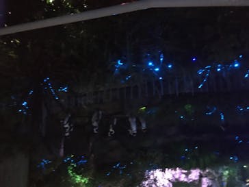 サンシャイン水族館に投稿された画像（2020/7/27）