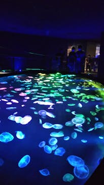 すみだ水族館に投稿された画像（2020/7/27）