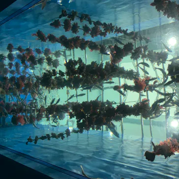 仙台うみの杜水族館に投稿された画像（2020/7/27）