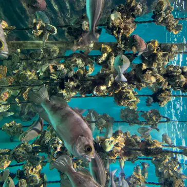 仙台うみの杜水族館に投稿された画像（2020/7/27）