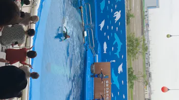 仙台うみの杜水族館に投稿された画像（2020/7/27）