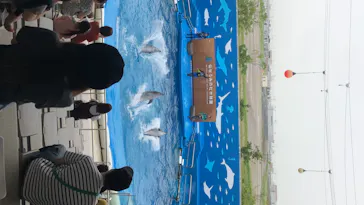 仙台うみの杜水族館に投稿された画像（2020/7/27）