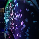 すみだ水族館に投稿された画像（2020/7/27）