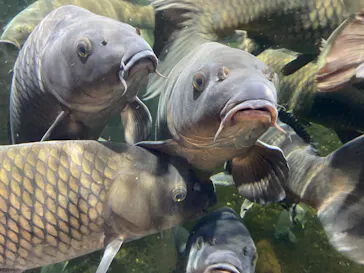 仙台うみの杜水族館に投稿された画像（2020/7/27）
