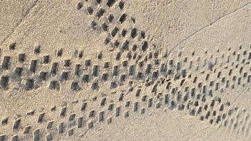 TRAIL ON（トレイル オン）に投稿された画像（2020/7/27）