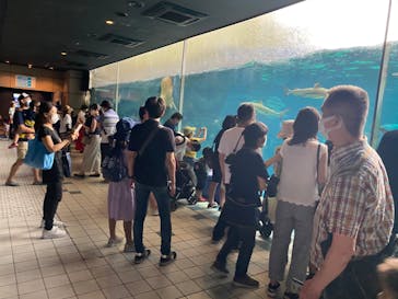 株式会社Gに投稿された画像（2020/7/27）