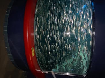 株式会社Gに投稿された画像（2020/7/27）