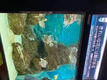 株式会社Gに投稿された画像（2020/7/27）