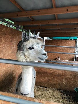 としまえんに投稿された画像（2020/7/27）