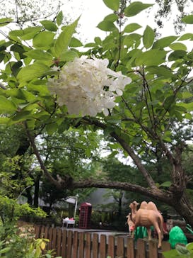 としまえんに投稿された画像（2020/7/27）