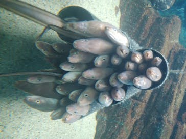 株式会社Gに投稿された画像（2020/7/27）