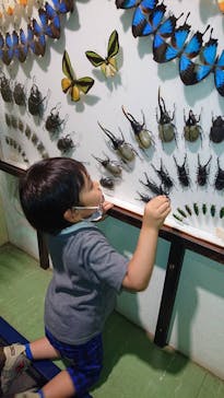 としまえんに投稿された画像（2020/7/27）