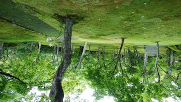 箱根美術館に投稿された画像（2020/7/27）