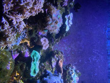 株式会社Gに投稿された画像（2020/7/28）