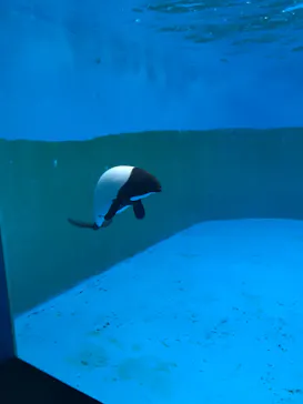 仙台うみの杜水族館に投稿された画像（2020/7/28）