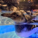 すみだ水族館に投稿された画像（2020/7/28）