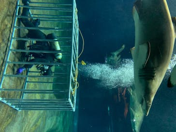 アクアワールド茨城県大洗水族館に投稿された画像（2020/7/28）