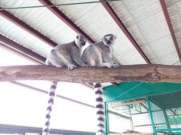 岩手サファリパークに投稿された画像（2020/7/28）
