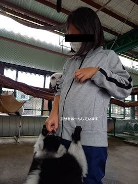 岩手サファリパークに投稿された画像（2020/7/28）