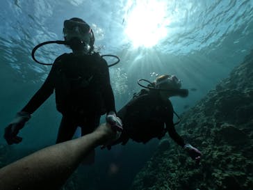 DIVING-SHOP SUNSに投稿された画像（2020/7/28）