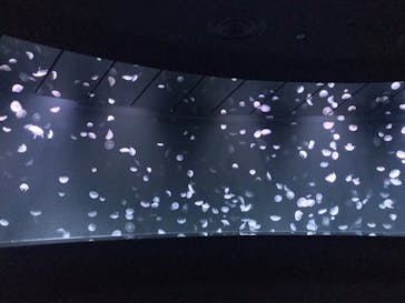 サンシャイン水族館に投稿された画像（2020/7/28）